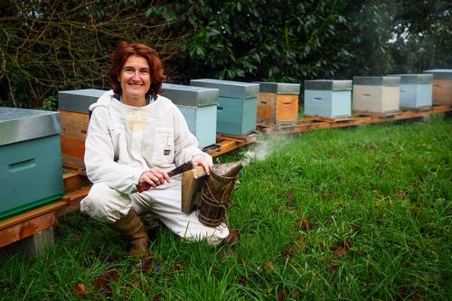 Les ruchers d'Anne Sophie